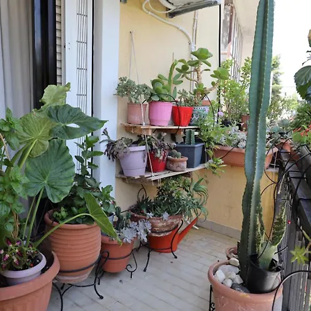Apartment Mονοκατοικία - Mεζονέτα Athens
